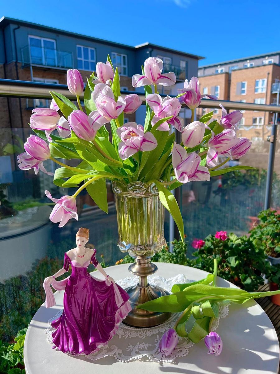 Tử vi ngày 14/5/2022 của 12 cung hoàng đạo